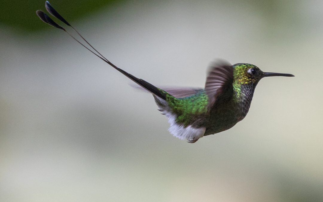 Greetings   Cards 4#20