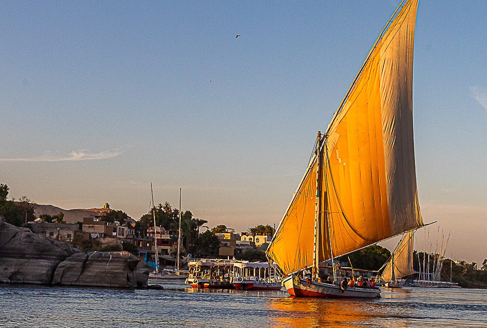 Greetings Cards 8#20