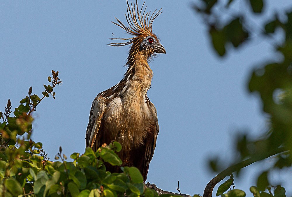 Greetings Card 10#20