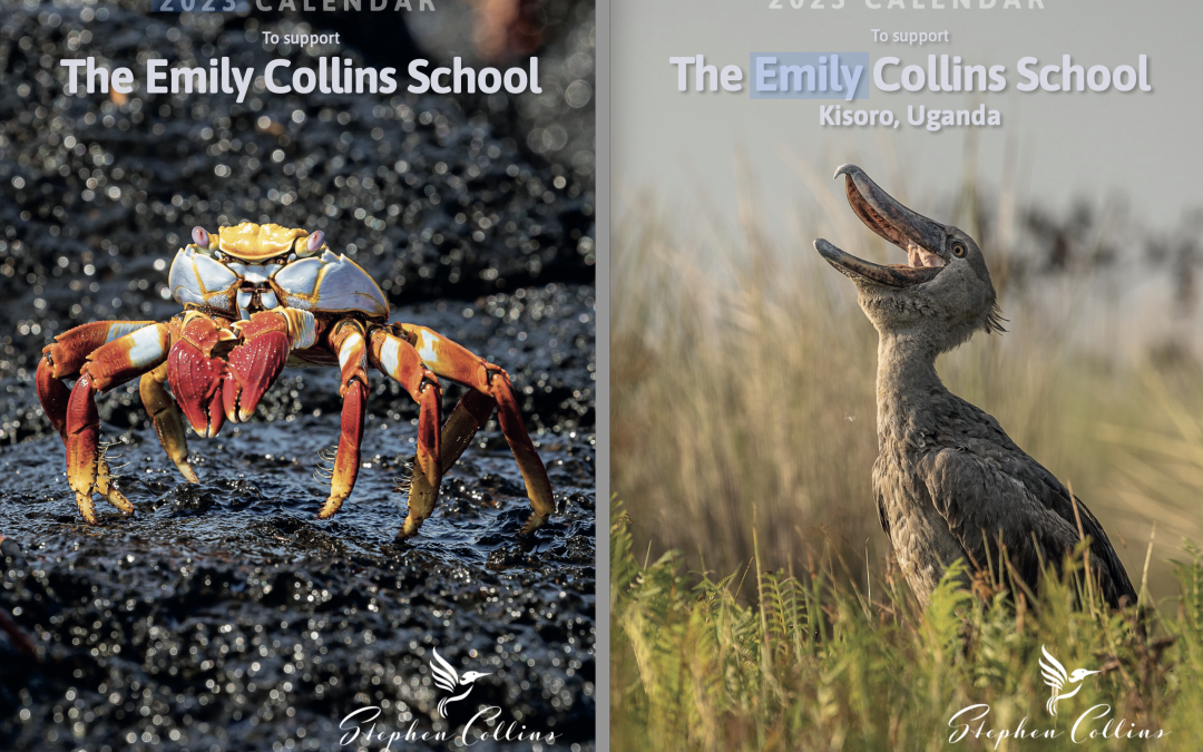 The 2023 calendars are with the printers