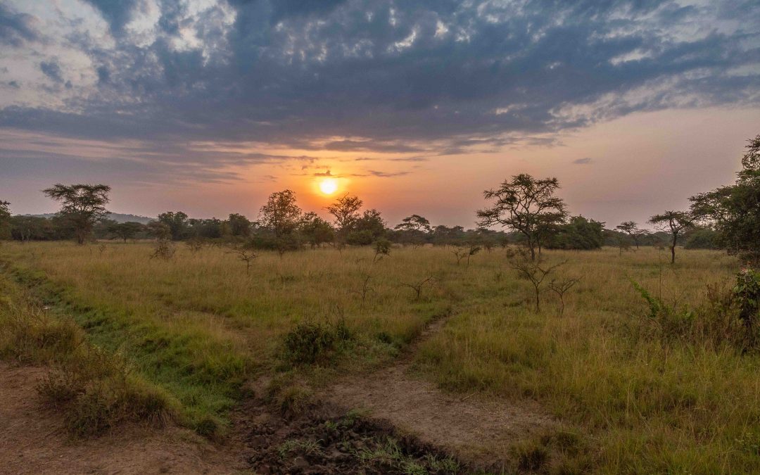 Lake MBuro at Dawn – January 2025