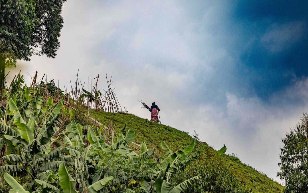 Life can be an uphill struggle – January 2025