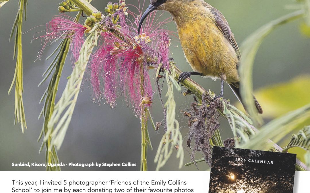 Meet the Photographers – October 2025