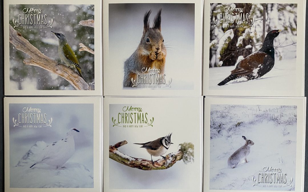 Cards for Christmas – November 2025